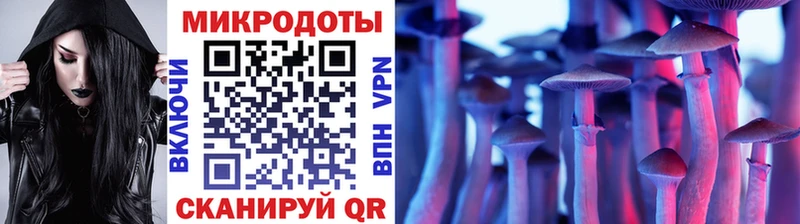 Галлюциногенные грибы MAGIC MUSHROOMS  где можно купить наркотик  hydra онион  Тула 