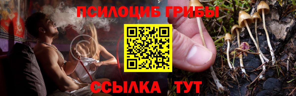 Псилоцибиновые грибы мицелий Тула